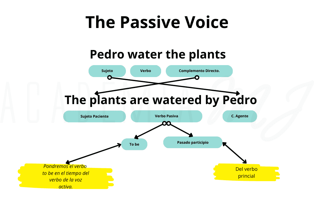 Ejemplo visual para convertir una oración activa (Pedro water the plants) en una oración pasiva (The plants are watered by Pedro), con etiquetas de sujeto, verbo y complemento. Guía visual de Academia MJ.
