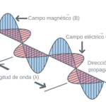 Ilustración vectorial de campos eléctrico y magnético perpendiculares – onda electromagnética – Academia MJ