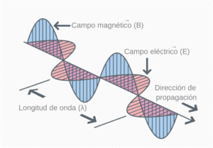 Ilustración vectorial de campos eléctrico y magnético perpendiculares – onda electromagnética – Academia MJ