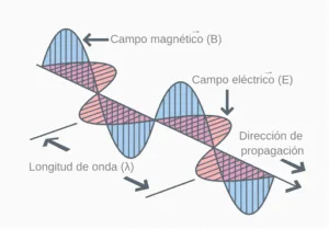 Ilustración vectorial de campos eléctrico y magnético perpendiculares – onda electromagnética – Academia MJ