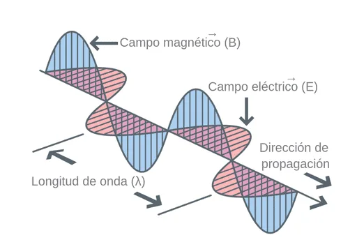 Ilustración vectorial de campos eléctrico y magnético perpendiculares – onda electromagnética – Academia MJ